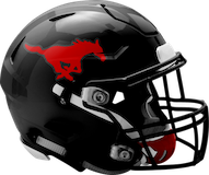 South Western Mustangs logo